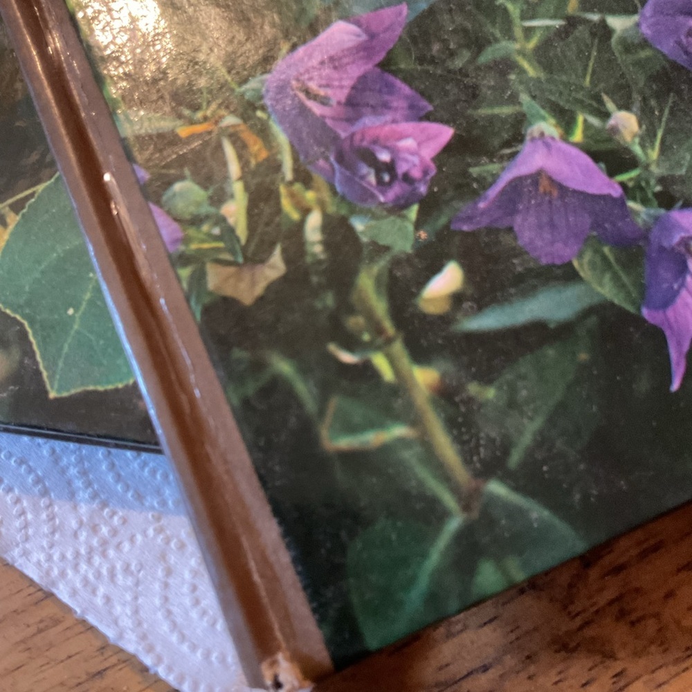 7 The time life encyclopedia of gardening lawns and ground covers Vintage - Picture 10 of 13